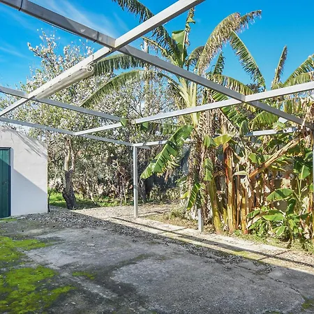 Amazing In With Kitchen